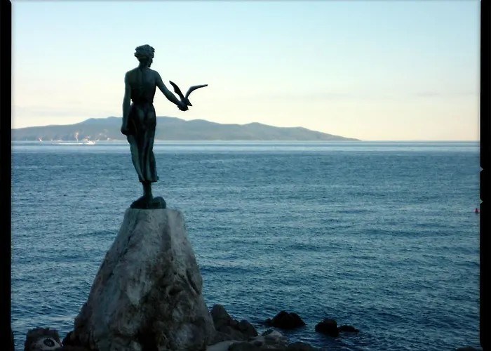 Sunflower * אופטיה