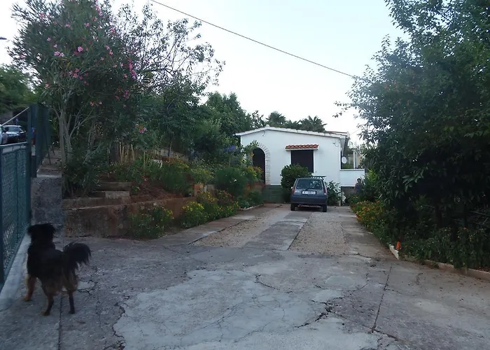 Apartament Sunflower