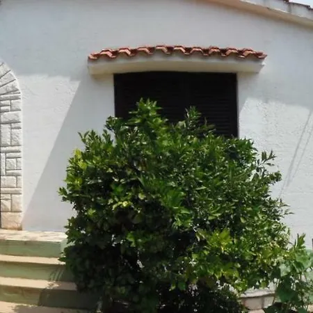 Sunflower * オパティヤ