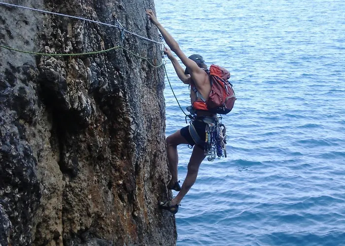 Sunflower Lejlighed *